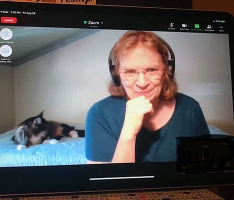 cat_helper