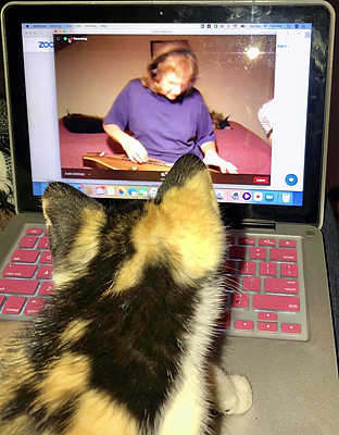 cat_student